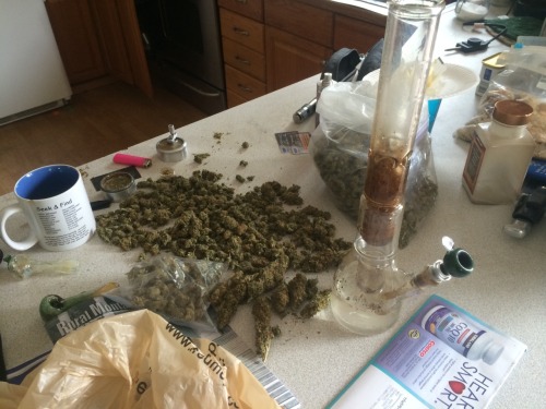 fuck-reality-get-high:  Chillin sorting out a pound and taste testing 😜👌 