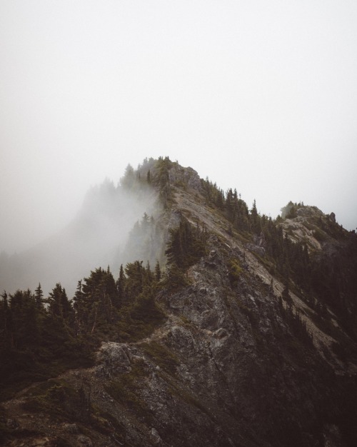 Mount Rainier National Park.