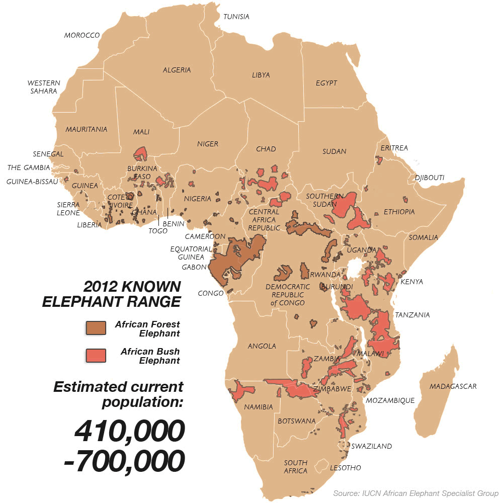 map of african elephants        <h3 class=