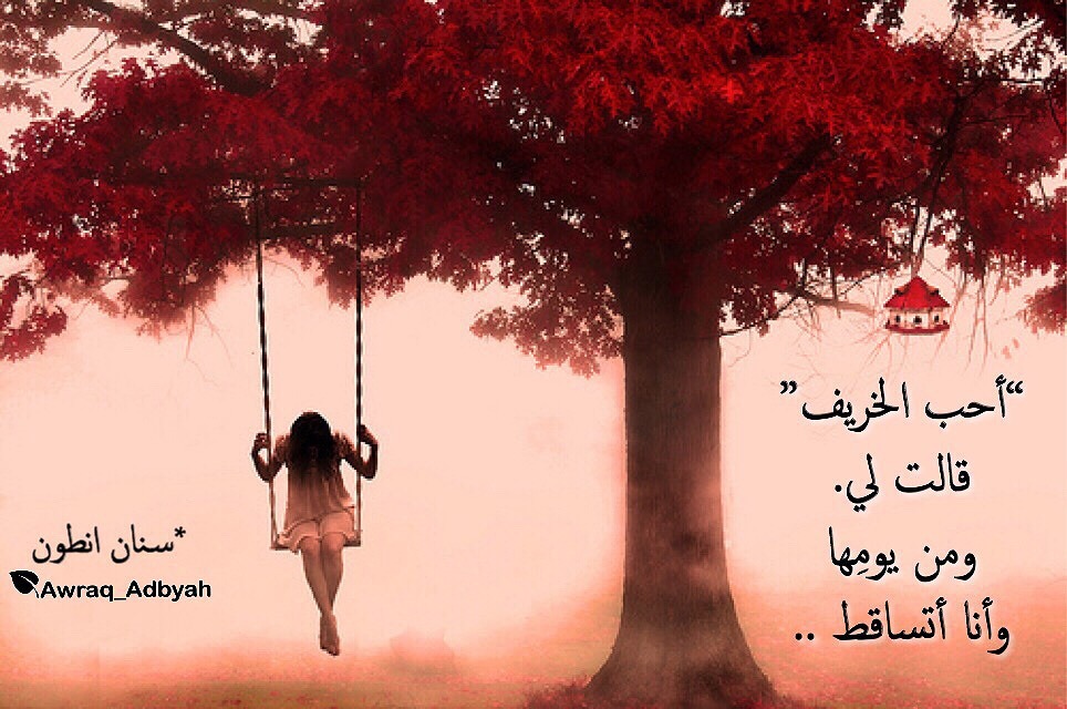 أوراق أدبية شعر أدب إقتباسات أحب الخريف قالت لي ومن يوم ها وأنا