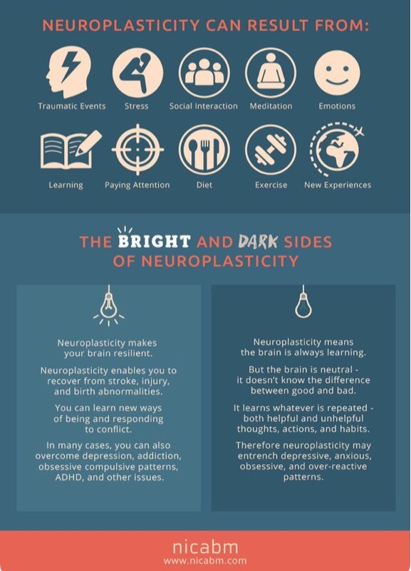 23pairofchromosomes:  Ten core principles necessary for the remodeling of your brain