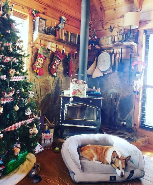 Scene from the Loebick Lodge during the holiday season....#twinkiethecorgi #corgi #corgiaddict #corg
