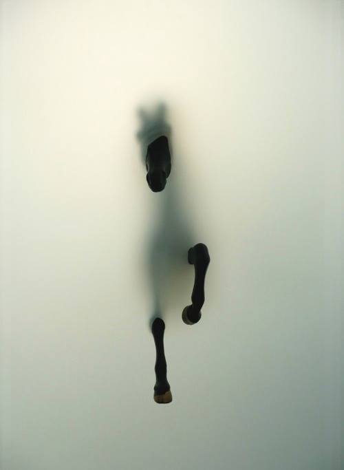 theblacktheory:  the work of miriam sweeney. 