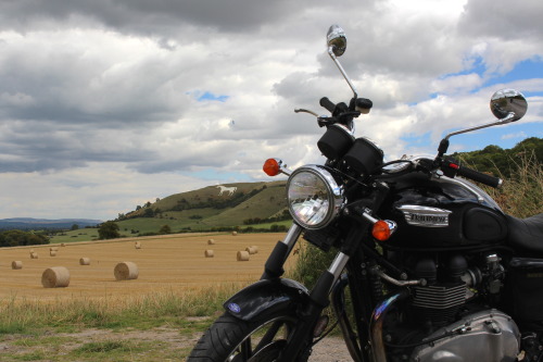 Westbury White Horse, Wiltshire, England. 23rd August 2014.