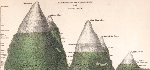 nemfrog:  “Distribution of vegetables and snow line.” A Comprehensive Atlas, Geographical, Historical & Commercial. 1835. 