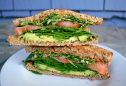 annieanemone:  Delicious veggie sandwich