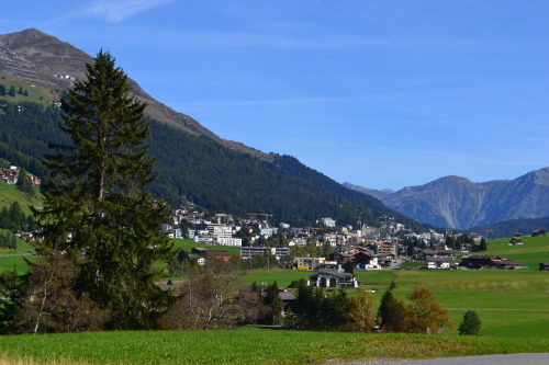 Davos