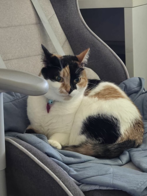 Sge Got Woken Up By The Sounds Of Construction Outside And Was Fucking Furious