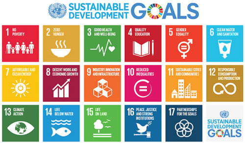 SUSTAINABLE DEVELOPMENT:  The Challenges Of Policy Implementation