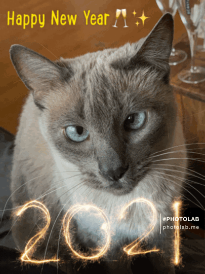HAPPY NEW YEAR