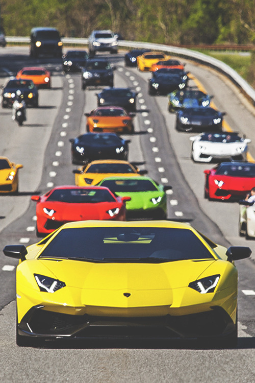 johnny-escobar: Lambo Gathering & Drive - May 18, 2014 Stampede