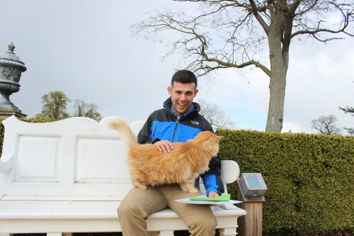 A sweet moment at Wimpole Hall with a resident ginger cat.