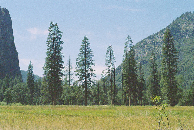 arquerio:  untitled by emily szabo on Flickr. 