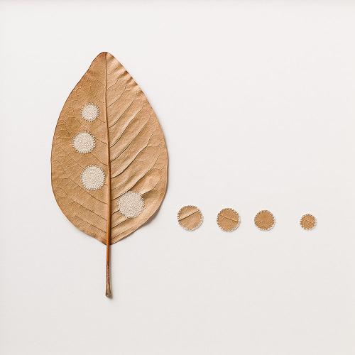 itscolossal:  Fragile Crocheted Leaf Sculptures by Susanna Bauer