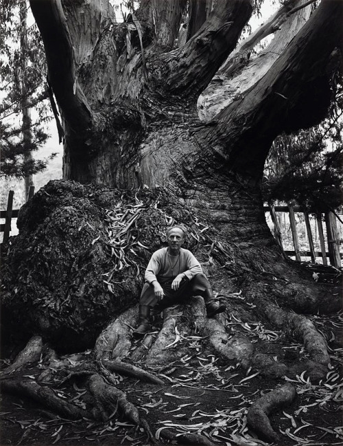inneroptics: Ansel Adams - Edward Weston, Carmel Highlands, California1945