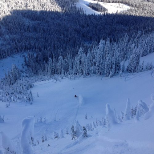 One ski-cut of a turn, then straight-lined this snowghost-filled line to the meadowpics by D King