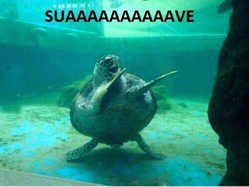 VOЯÁGINΣ