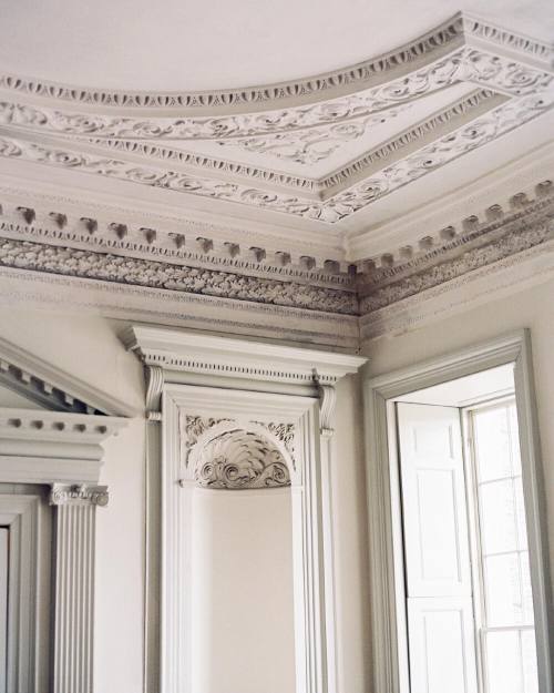 andantegrazioso: Boconnoc Estate |  taylorandporter