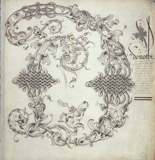 design-is-fine:Calligraphic initial A(nd), B(eloved) and D(o) of Alphabet book, 1575 - 1599. England