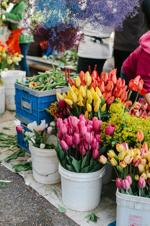 An Early Morning at the Farmers Market by Endlessly Enraptured