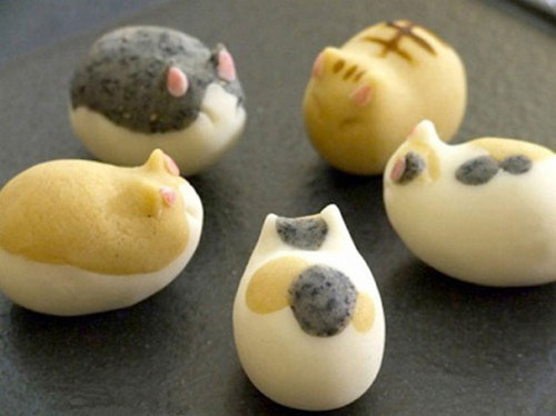 cuteanimals-only:Adorable handmade sweets inspired by pet cat [article]