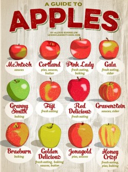 goforbronze:  dsbigham:I was looking at this and thinking “wtf kind of sauce do you make with apples?” and then it hit me. who in the fuck is fresh eating red delicious? ya nasty