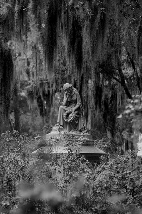 spells-of-life:  Bonaventure Cemetery. Savannah.  