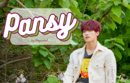 Pansy