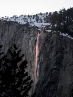 americasgreatoutdoors:  Horsetail Fall flows