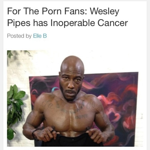Wesley Pipes Tumblr