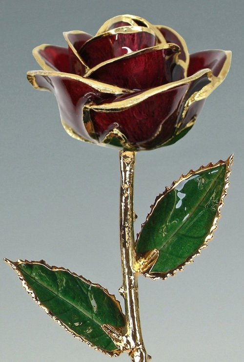 sosuperawesome: Real Preserved Roses Trimmed with Gold / Dipped in GoldLiving Gold Co on EtsySee our
