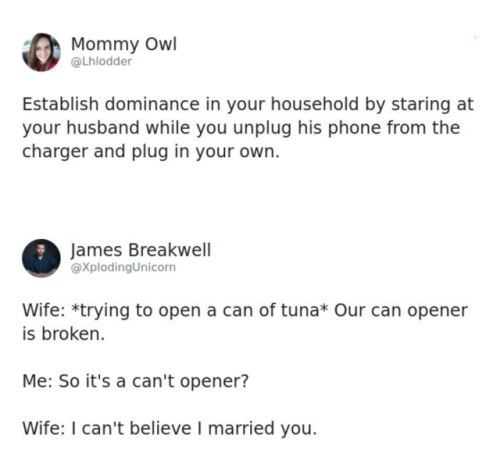 wwinterweb: Funny  Marriage Tweets (see 13 more)