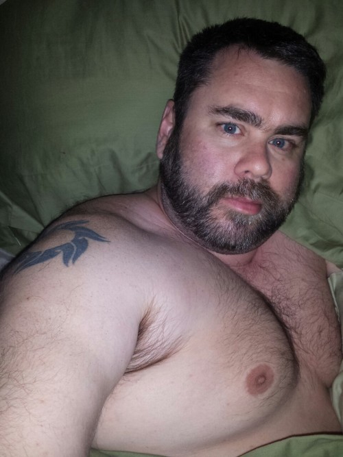 kevbearcub:  What I look like when I’m woken up by thunder in the middle of the night. Ugh. Trying to go back to sleep. 