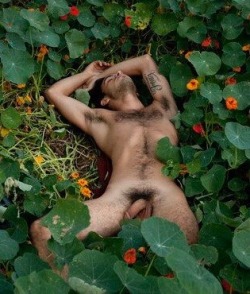 wvilldog: Field of dreams