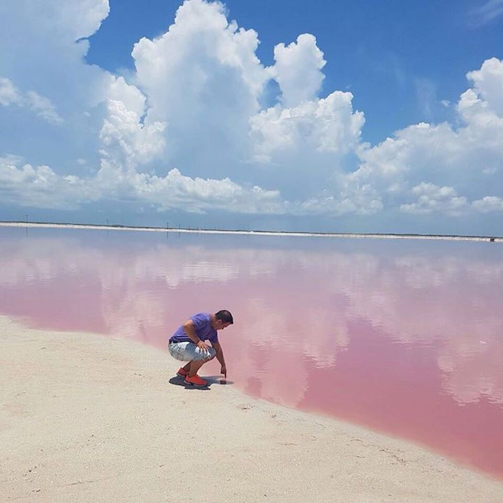 lesbian-lily:  fatbengal:  bobbycaputo:    Naturally Pink Lagoon in Mexico Is Like