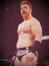 1994falloutboy:  Favorite pictures of Sheamus in his ring gear :3