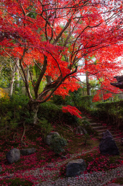 3leapfrogs:  yuikki:  Eisho-in, Kyoto / 栄摂院（京都） by Kaoru Honda on Flickr.  Come leap with me…3leapfrogs •=• •=• •=• 