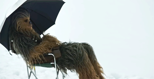 josskuhh:Chewbacca