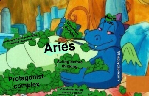 happycapricorntumble:Dragon Tales Meme Part One