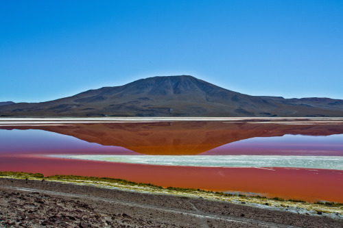 Laguna Colorada - Bolivia by cedrik strahm