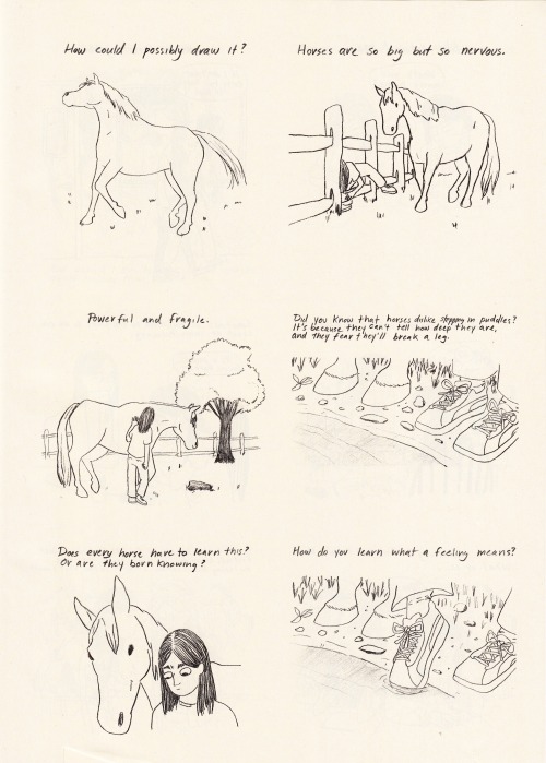 theblackestofsuns:How To Draw A Horse by Emma Hunsinger in this week’s New Yorker magazine.