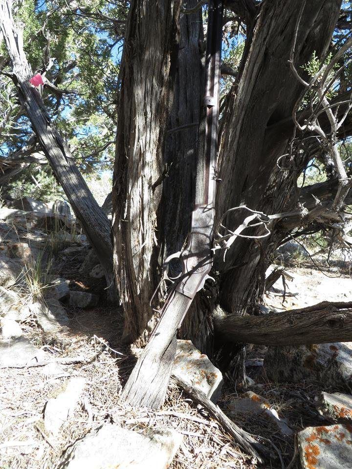 tgaceworthbelievingin:  132 Year Old Winchester found propped against a tree.