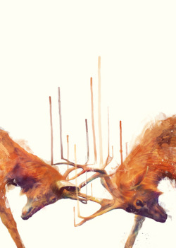 septagonstudios:  Amy Hamilton STAGS // STRONG