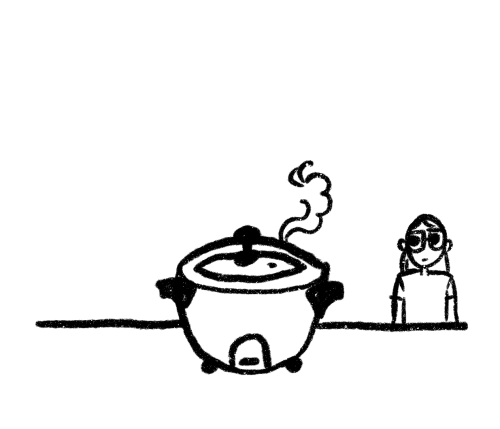 cerulienne: i got a rice cooker. me and my brother really like it.