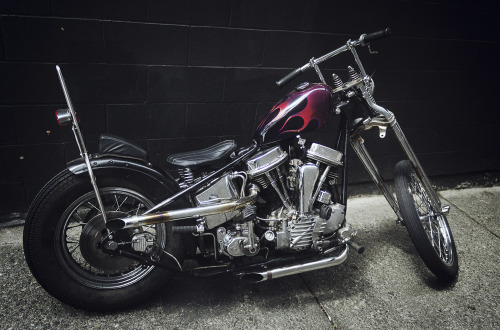 lifeofshralp:  Darren’s righteous panhead 