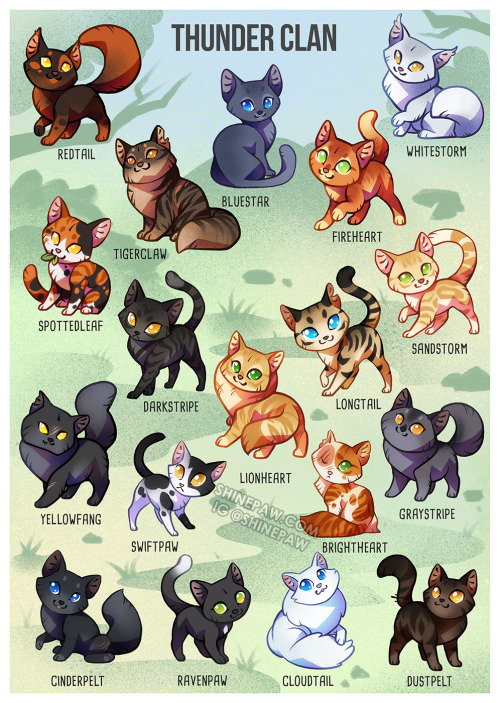 Thunder Clan cats from The Prophecies Begin arcI always wanted to have a visual guide for all the ca