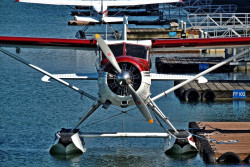 see-the-world-from-a-small-plane:   	1948 DeHavilland DHC-2 Beaver [N4989N] by Timothy Kalweit    	Via Flickr: 	PAJN / Juneau International Airport Name: Bessie Reg: N4989N Built: 1948 C/N: 31 Engine: 1x Pratt &amp; Whitney R-985 SERIES    