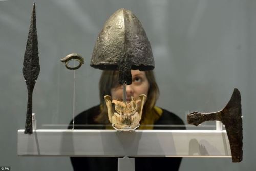 A woman looking at a helmet and skull uncovered from the Ridgeway Hill Viking Burial Pit near Weymou