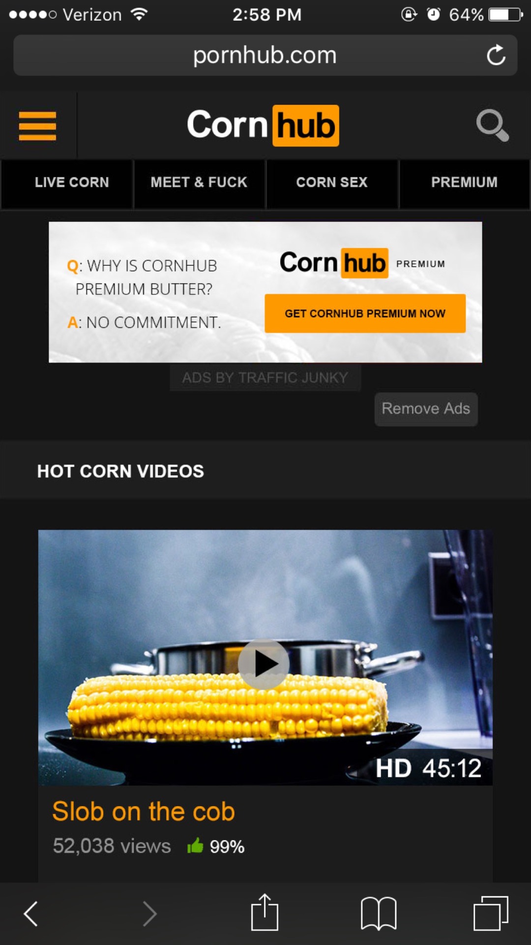 n-n-nicole:  Is nobody going to talk about how Pornhub got hacked for April Fools