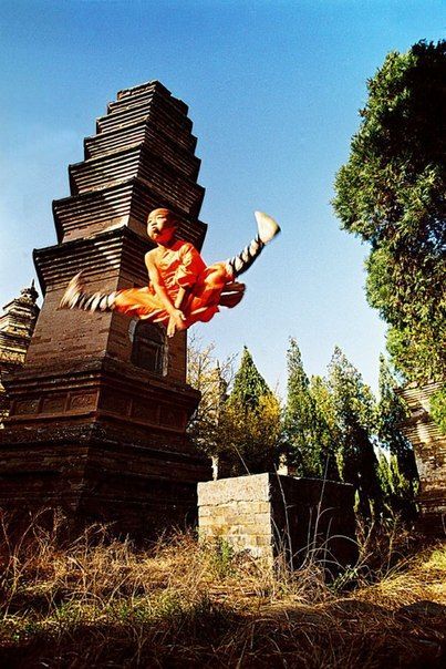 taichi-kungfu-show:  Young kid practicing Shaolin kung fu.    We offer you first-rate